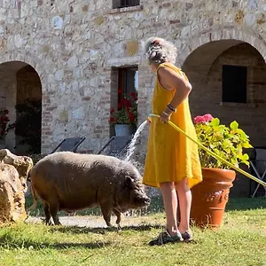 Séjour à la ferme Sole, Trequanda
